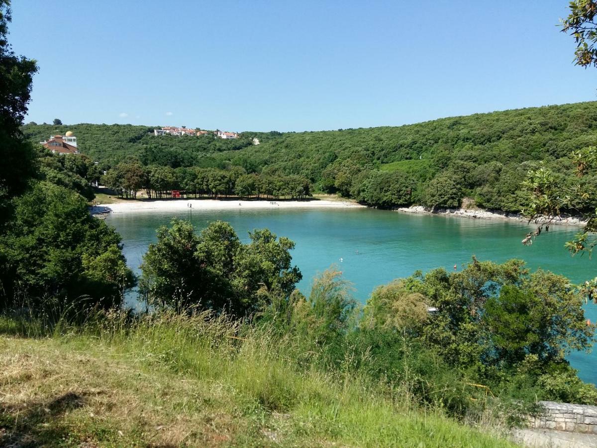 Mirta 1 Apartman Pavicini Kültér fotó