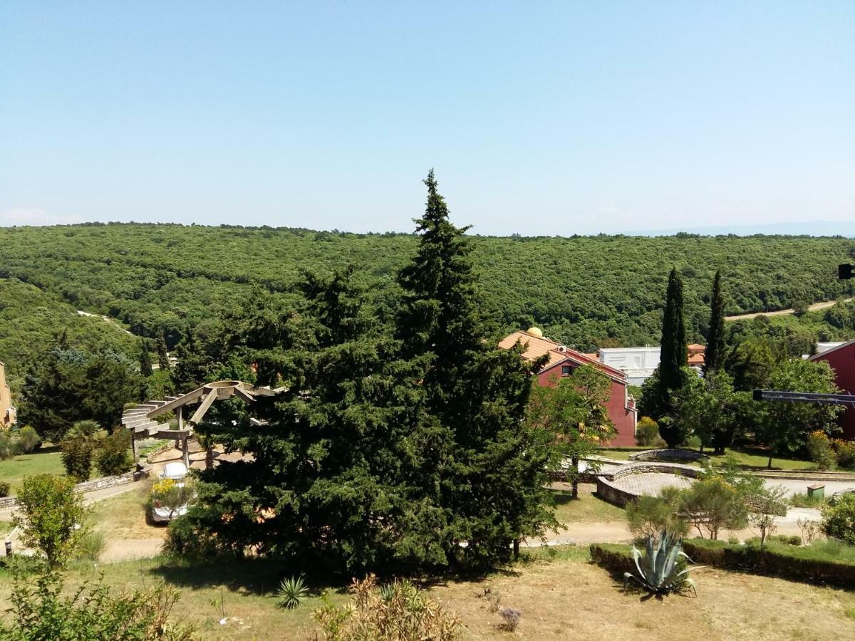 Mirta 1 Apartman Pavicini Kültér fotó